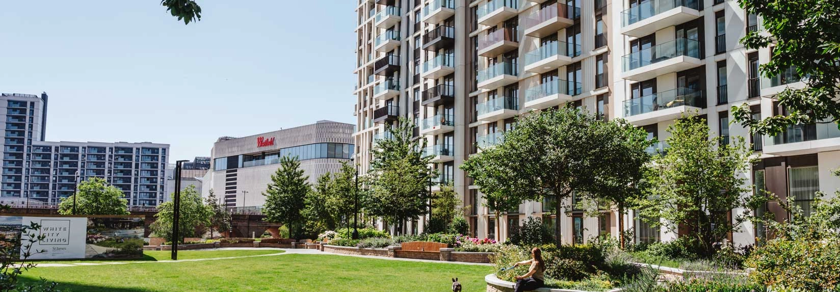 WCL - Solaris interior banner 6