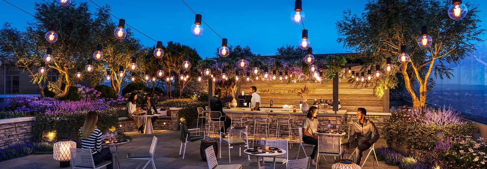 WCL - Solaris interior banner 10