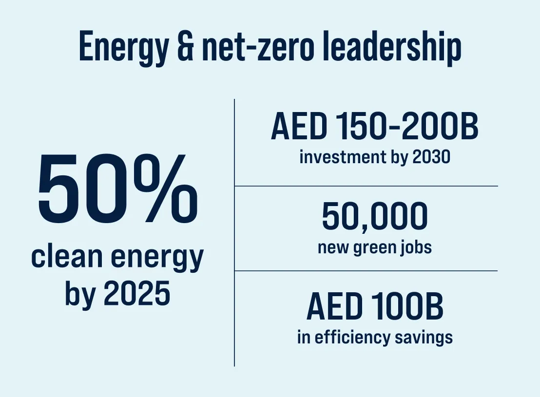 Energy and net-zero leadership